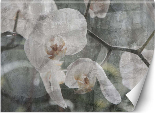 Carta-Da-Parati,-Fiori-di-orchidea-retrò