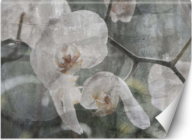 Carta-Da-Parati,-Fiori-di-orchidea-retrò