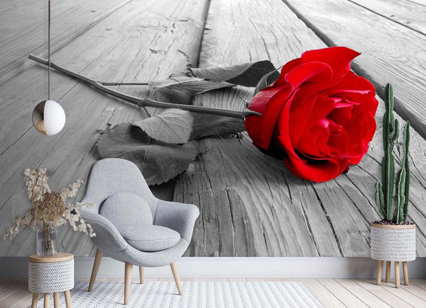 Carta-Da-Parati,-Fiori-di-rosa-rossa-retrò