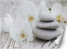 Carta-Da-Parati,-Fiori-Pietre-Zen