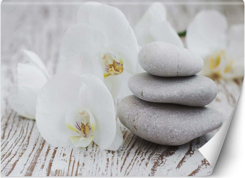 Carta-Da-Parati,-Fiori-Pietre-Zen