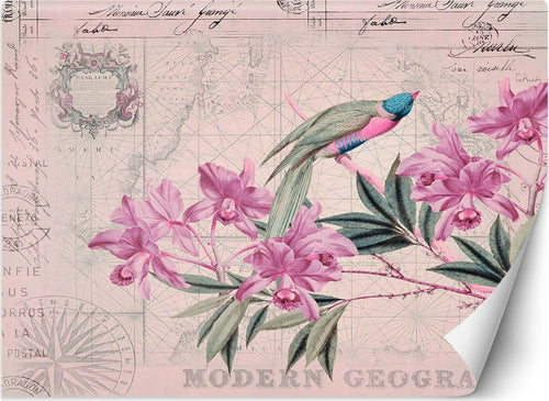 Carta-Da-Parati,-Fiori-Uccelli-Rosa-Vintage
