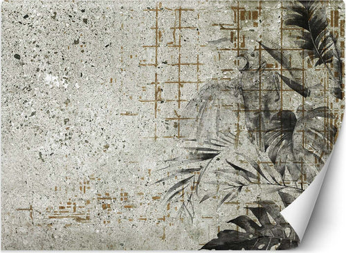 Carta-Da-Parati,-Foglie-di-Monstera-Foglie-di-calcestruzzo-Parete