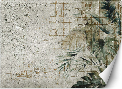 Carta-Da-Parati,-Foglie-di-Monstera-Foglie-di-cemento-Verde