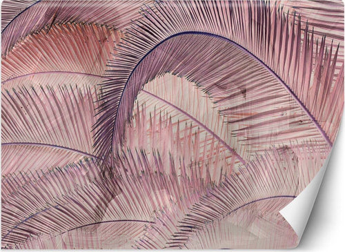 Carta-Da-Parati,-Foglie-di-palma-3D-in-cemento-rosa
