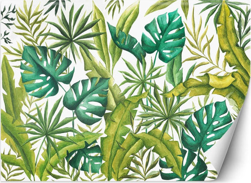Carta-Da-Parati-Foglie-di-palma-verdi