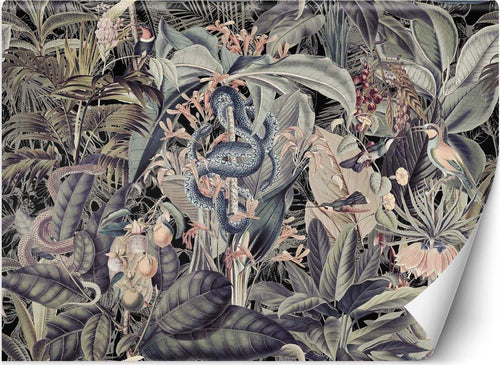 Carta-Da-Parati,-Foglie-tropicali-Monstera