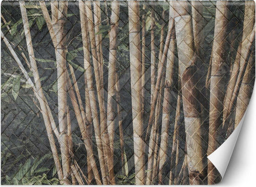 Carta-Da-Parati,-Foresta-di-bambù