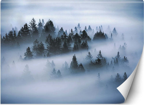 Carta-Da-Parati,-Foresta-nella-nebbia