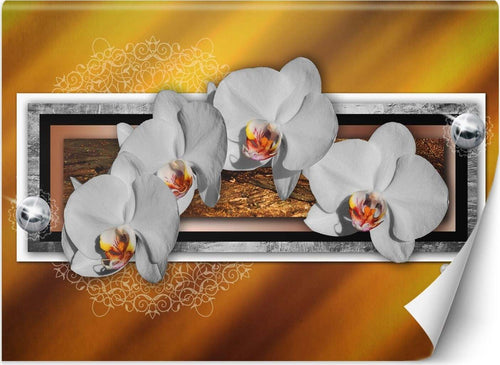 Carta-Da-Parati,-Geometria-e-orchidee