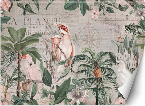 Carta-Da-Parati,-Giungla-tropicale