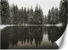 Carta-Da-Parati,-Lago-nella-foresta-in-inverno