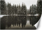 Carta-Da-Parati,-Lago-nella-foresta-in-inverno