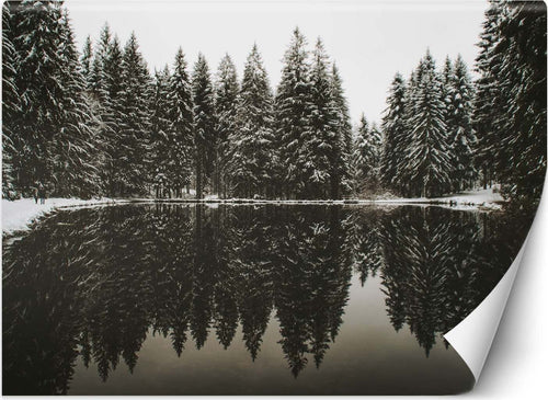 Carta-Da-Parati,-Lago-nella-foresta-in-inverno
