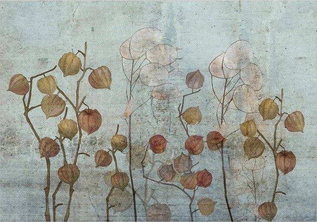 Product Image-1