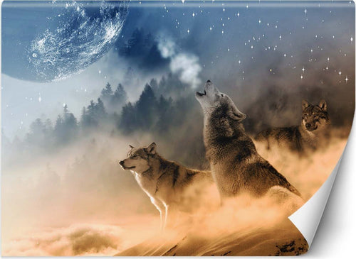 Carta-Da-Parati,-lupi-animali-foresta-natura