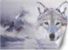 Carta-Da-Parati,-Lupo-nella-nebbia-Animali-della-natura