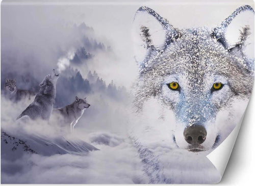 Carta-Da-Parati,-Lupo-nella-nebbia-Animali-della-natura