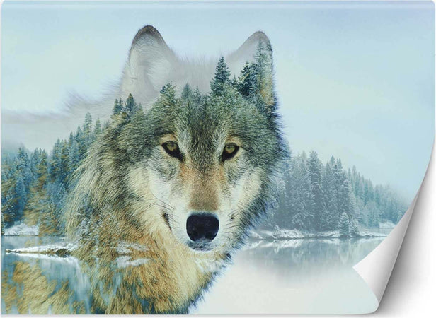 Carta-Da-Parati,-Lupo-su-uno-sfondo-di-foresta