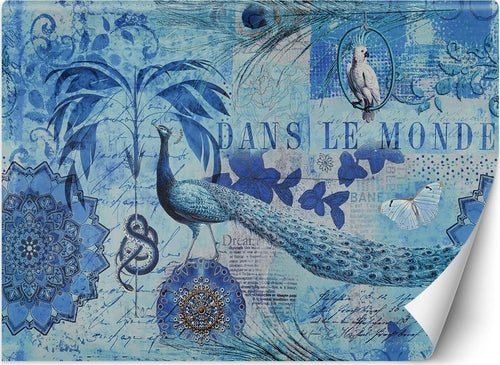 Carta-Da-Parati,-Mandala-Pavone-blu-tropicale