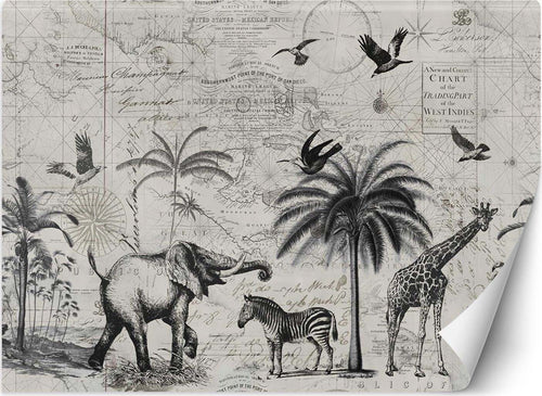 Carta-Da-Parati,-Mappa-del-mondo-e-Savana-Vintage