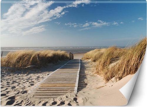 Carta-Da-Parati,-Mare-Spiaggia-Paesaggio