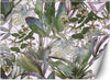 Carta-Da-Parati,-Monstera-e-foglie-tropicali