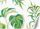 Carta-Da-Parati,-Monstera-Foglia-Piante-Verde