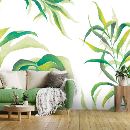 Carta-Da-Parati,-Monstera-Foglia-Piante-Verde