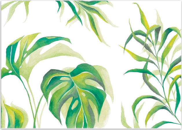 Carta-Da-Parati,-Monstera-Foglia-Piante-Verde