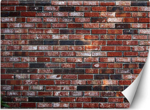 Carta-Da-Parati,-Muro-di-mattoni-rossi