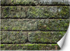 Carta-Da-Parati,-Muro-di-mattoni-vintage