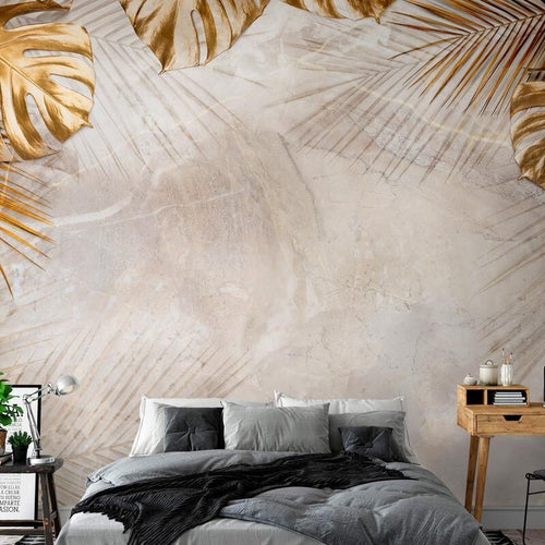 Product Image-0