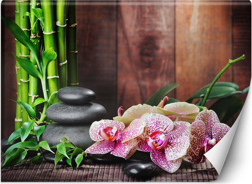 Carta-Da-Parati,-Orchidea-con-bambù