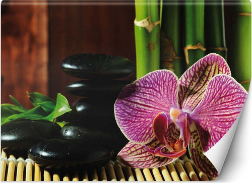 Carta-Da-Parati,-Orchidea-pietre-zen-e-bambù