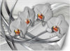 Carta-Da-Parati,-Orchidee-astratte