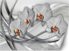 Carta-Da-Parati,-Orchidee-astratte
