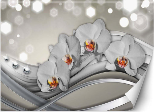Carta-Da-Parati,-Orchidee-e-onde