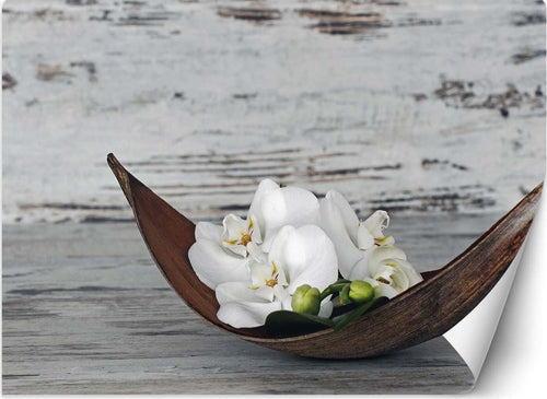 Carta-Da-Parati,-Orchidee-Zen-Spa-Vintage
