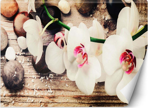 Carta-Da-Parati,-Orchidee-Zen