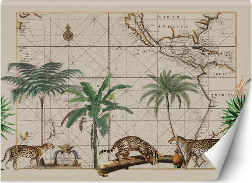Carta-Da-Parati,-Palma-Animali-Mappa