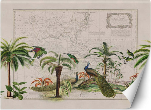 Carta-Da-Parati,-Palma-Pavoni-Mappa-del-mondo-Boho