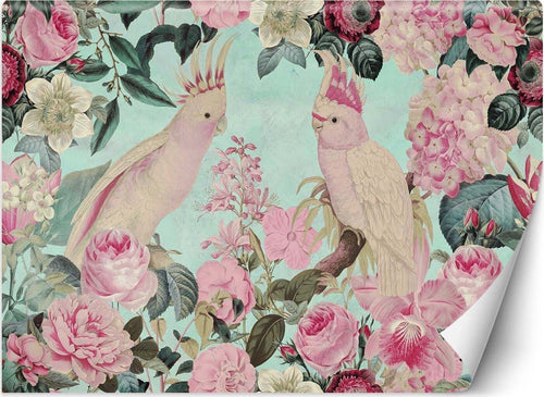 Carta-Da-Parati,-Pappagalli-rosa-shabby-chic