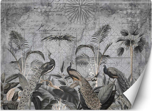 Carta-Da-Parati,-Pavoni-ai-tropici