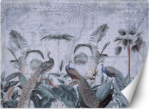 Carta-Da-Parati,-Pavoni-ai-tropici