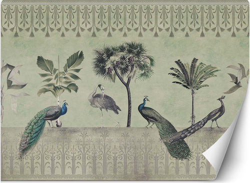 Carta-Da-Parati,-Pavoni-nella-giungla-verde