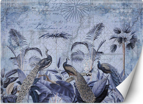 Carta-Da-Parati,-Pavoni-uccelli-tropicali-natura