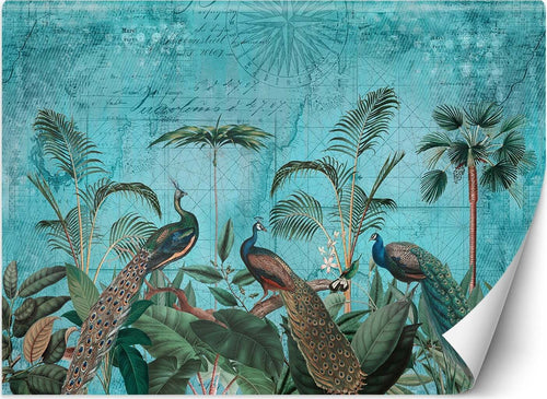 Carta-Da-Parati,-Pavoni-Uccelli-Tropicali-Turchese