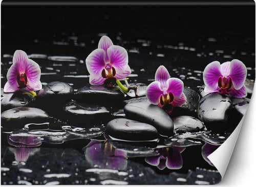 Carta-Da-Parati,-Pietre-e-orchidee-zen