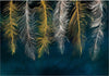 Product Image-1